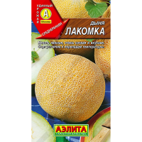 Дыня Лакомка