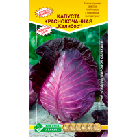 Капуста краснокочанная КАЛИБОС