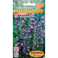 Колокольчик пирамидальный голубой