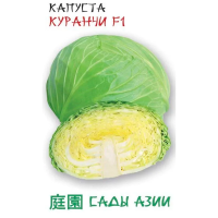 Капуста  'Куранчи” F1