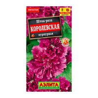 02Аэ1295 Шток-роза Королевская пурпурная