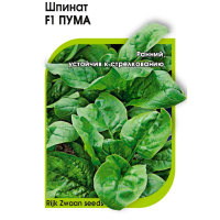 Шпинат Пума F1 Rijk Zwaan 1 гр