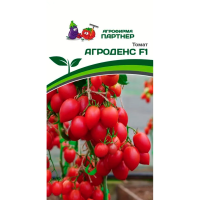 Томат АГРОДЕНС F1