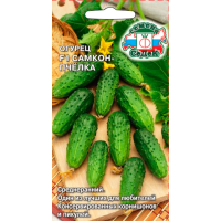 огурец Самкон Пчёлка