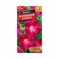02Аэ1267 Ипомея Малиновый каприз