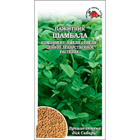 Пажитник Шамбала