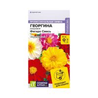 08Ге3547 Цветы Георгина Фигаро Смесь махровая Семена Алтая цп 5 шт
