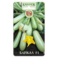 02Би2903 Кабачок Байкал F1 NDS