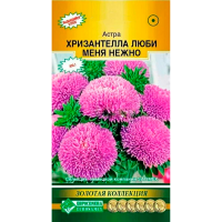 Астра ХРИЗАНТЕЛЛА Люби меня Нежно китайская (5 шт)