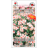 Гвоздика Арктик Файер травянка