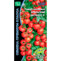 Томат Уральский экспресс