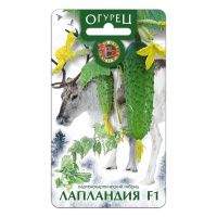 02Би2918 Огурец  Лапландия F1 NDS