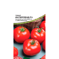 Томат Интерленд F1 Nunhems