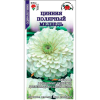 Цинния Полярный медведь