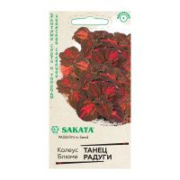 Га010044 Колеус Танец радуги 4 шт. Саката серия Эксклюзив Н22 DH