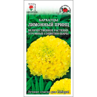 Бархатцы Лимонный Принц