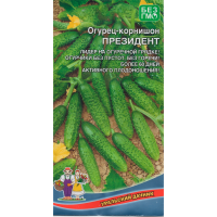 Огурец Президент