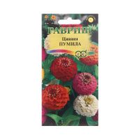 Га014433 Цинния Пумила, махровая раннецветущая, смесь 0,5 г DH