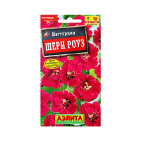 Настурция Шери Роуз