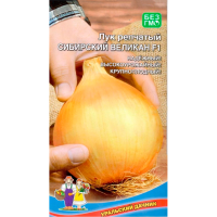 Лук репчатый Сибирский Великан F1