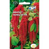 Амарант Танец огня (хвостатый)