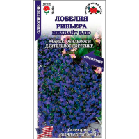 Лобелия Ривьера Миднайт Блу