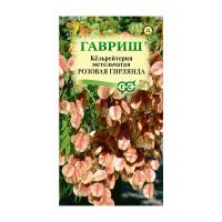 Га014601 Кёльрейтерия Розовая гирлянда, метельчатая 10 шт. Н21