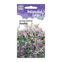 Га010082 Левкой (Маттиола двурогая) Лиловый 0,3 г серия Лавандовые грёзы