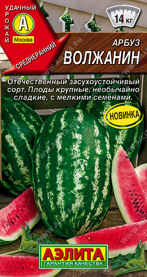 v8_24C0_35b2d