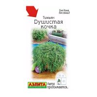 02Аэ1573 Тимьян Душистая кочка