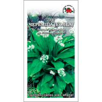 Лук Черемша