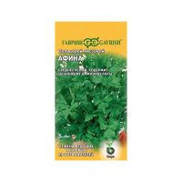 Сельдерей листовой Афина (Голландия)