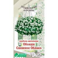 Вербена ОБСЕШН Снежное Облако ампельная (3 шт)