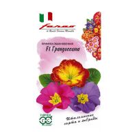 Га013553 Примула обыкновенная F1 Грандиссима серия Фарао