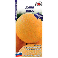 Дыня Вика
