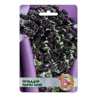 02Би2876 Астра китайская Трубадур Парпл Блэк NDS