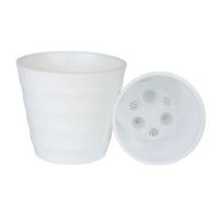 ЛР11-10 Лаура 0,7 л Белый,д.11,5 н.10, пластиковый горшок с поддоном(16)