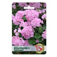 02Би3245 Пеларгония  Мультиблум F1 Лавандер  NDS