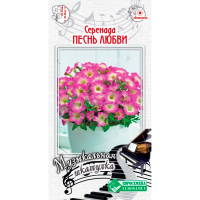 Музыкальная шкатулка СЕРЕНАДА ПЕСНЬ ЛЮБВИ (Петуния минифлора)