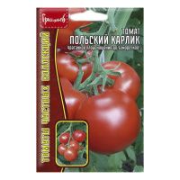 02Гр3224 Томат Польский Карлик 10 шт. NDS