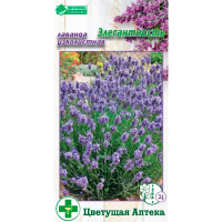 Лаванда узколистная ЭЛЕГАНТНОСТЬ