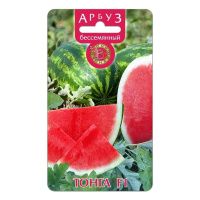 02Би2890 Арбуз бессемянный Тонга F1 NDS