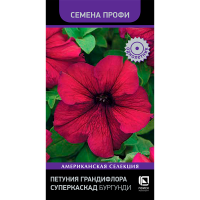 Петуния грандифлора Суперкаскад Бургунди (Семена Профи) (ЦВ) (1) 10шт