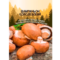 Грибы Шампиньон Королевкий (ССПК)