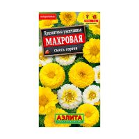 02Аэ1671 Хризантема увенчанная Махровая, смесь сортов