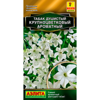 Табак душистый крупноцветковый Ароматный