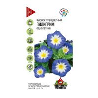 Га015520 Вьюнок трехцветный Пилигрим 0,5 г Уд. с