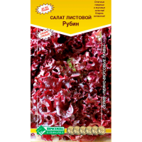 Салат листовой РУБИН