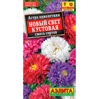 Астра Новый свет кустовая, смесь сортов