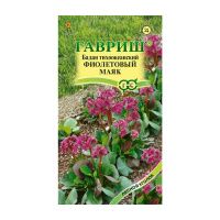 Га019824 Бадан тихоокеанский Фиолетовый маяк 0,01 г Н23